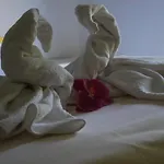 Hotel Neps - Nuova Gestione
