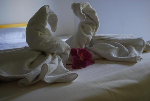 Hotel Neps - Nuova Gestione